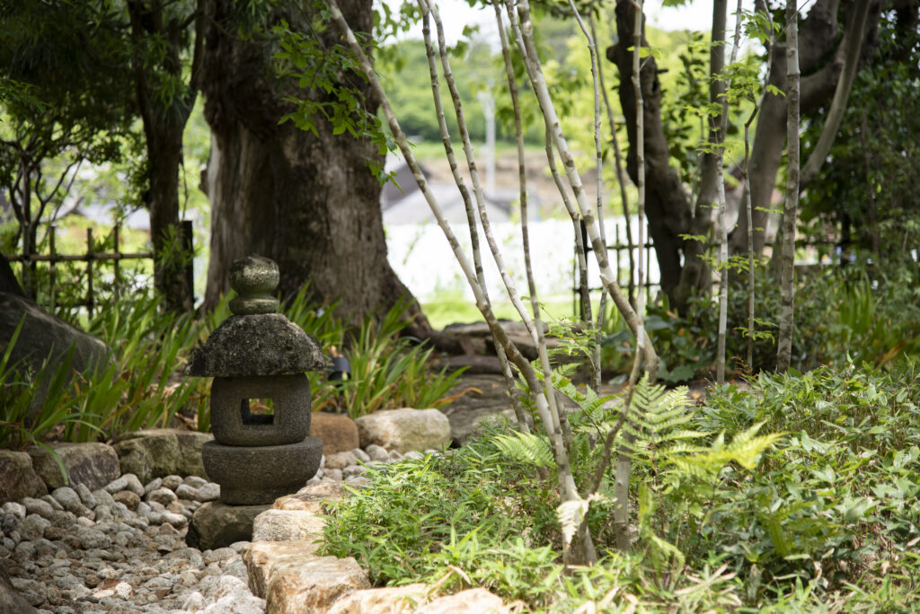 外からの見え方、室内からの見え方、季節、時間など様々な表情を見せるお庭。