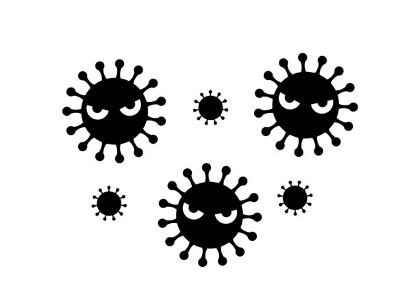 カビは秋に多い！？カビの発生を防止する対策は？