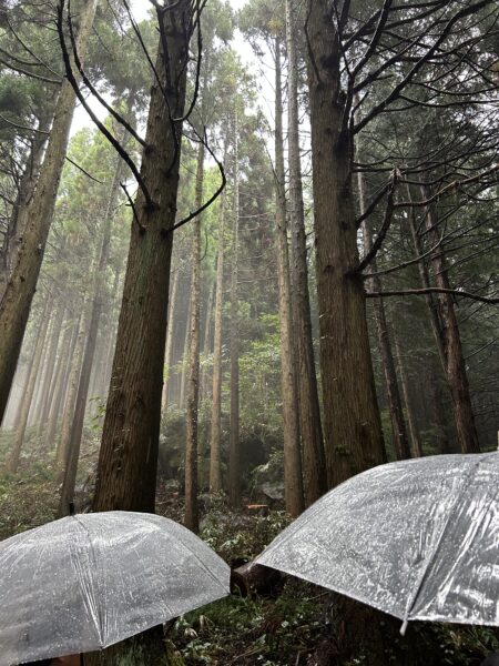 一本の木が焼杉になるまで。