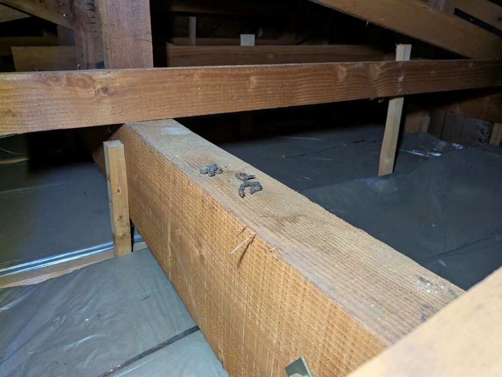 【山田の日刊ブログ】床下調査　2